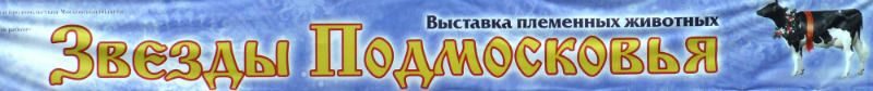 Выставка &laquo;Звезды Подмосковья-2015&raquo;.