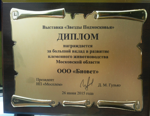 Выставка &laquo;Звезды Подмосковья-2015&raquo;.