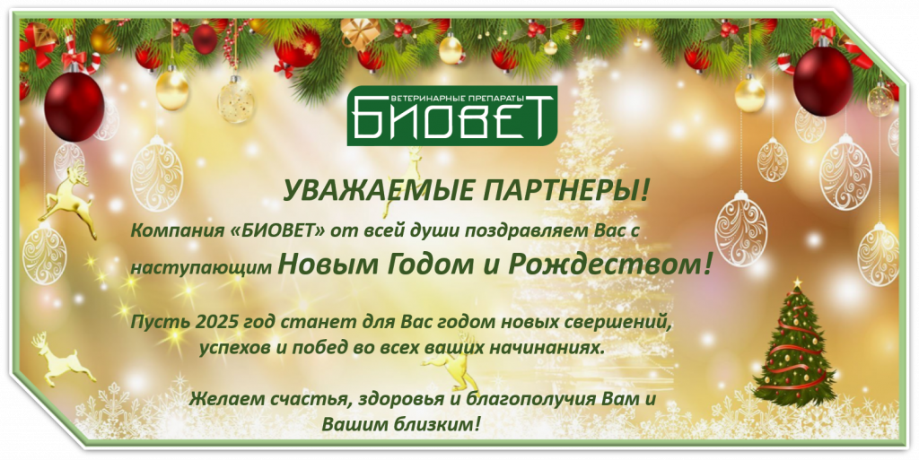 Поздравления с Новым Годом и Рождеством