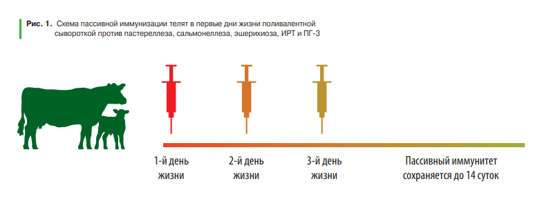 картинка 1.png картинка 1.png